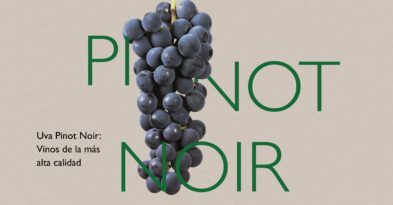 uva-pinot-noir-blog denominacion origen manchuela