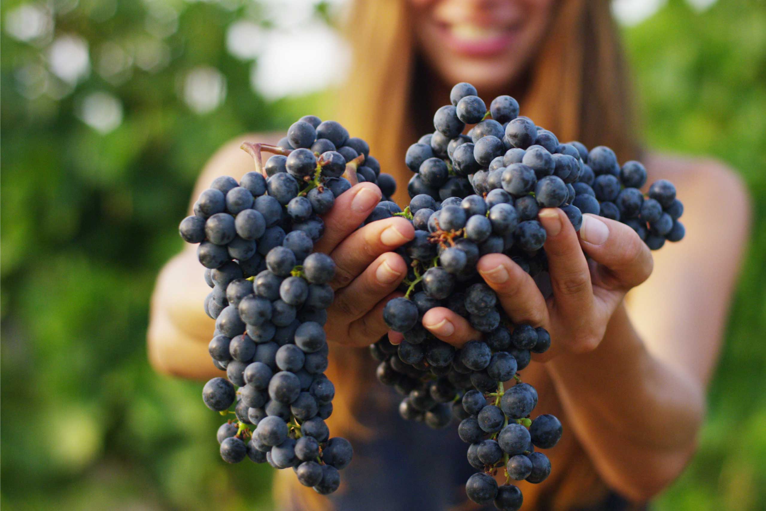 vino-ecologico-manchuela