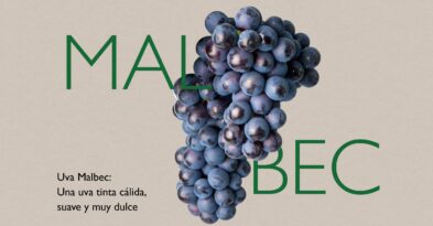 uva-malbec--variedad-denominacion-origen-manchuela