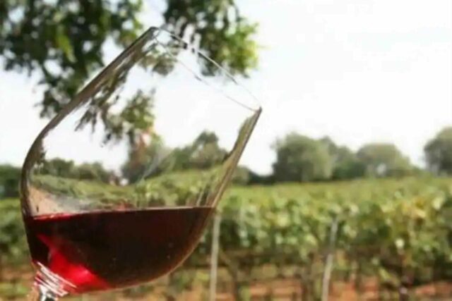 49-millones-euros-vino-do-manchuela