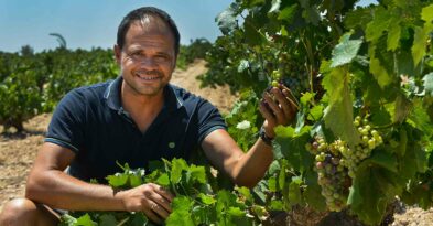 bodegas-ponce-cuando-el-origen-es-el-alma-de-un-proyecto