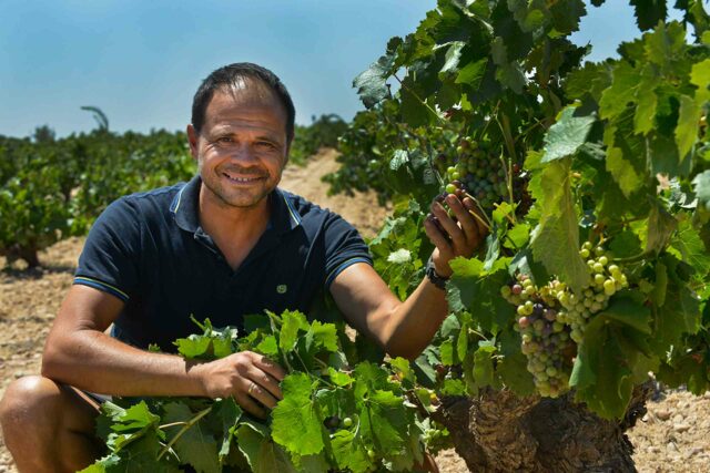 bodegas-ponce-cuando-el-origen-es-el-alma-de-un-proyecto
