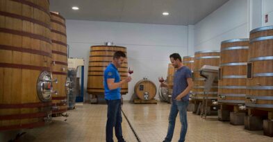bodegas-vinedos-ponce