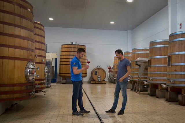 bodegas-vinedos-ponce