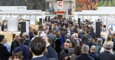 do-manchuela-presente-barcelona-wine-week