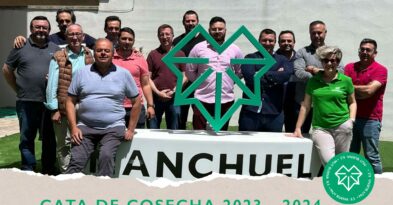 calificacion-añada-2023-2024-do-manchuela