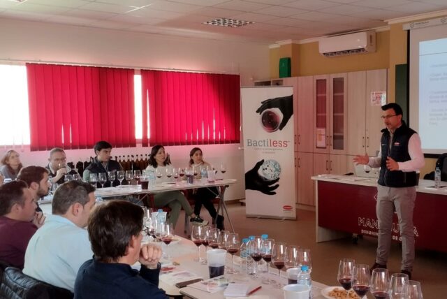 cata-defectos-vino-manchuela