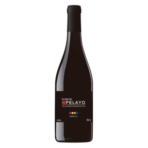 Pelayo
