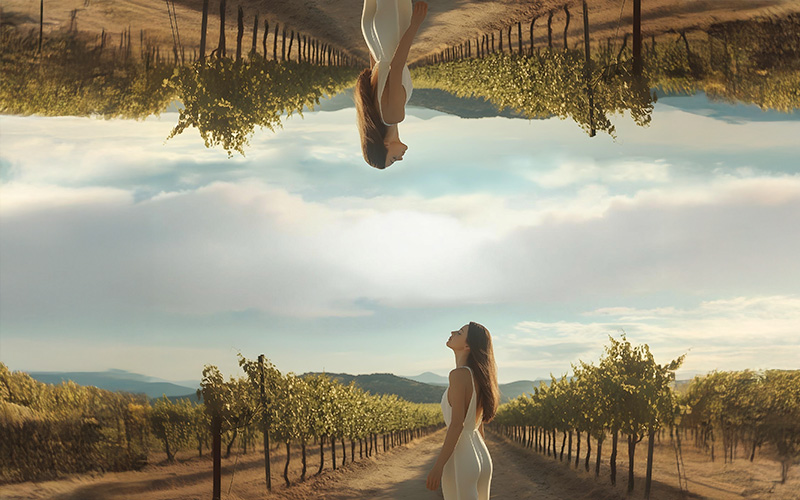 Pacto entre pasado y presente en nuestro vino de influencia