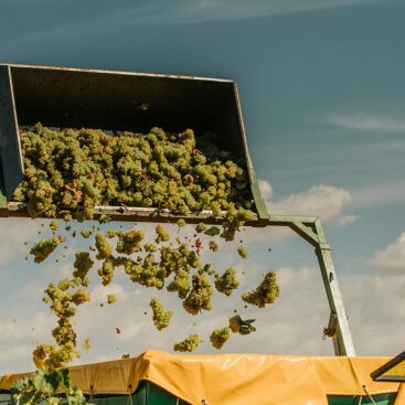 objetivos de normativa de producción